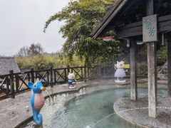 -崇阳三特浪口温泉