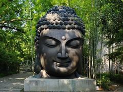 -杭州植物园