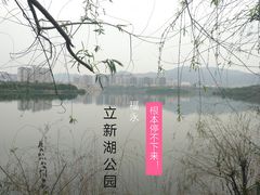 -立新湖公园