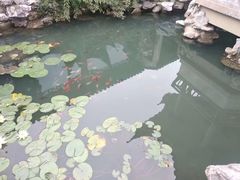 -梁鸿国家湿地公园