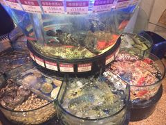 -陶陶居海鲜酒家(新马路店)