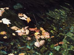 -丹东天桥沟景区