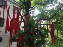 -敬亭山风景名胜区