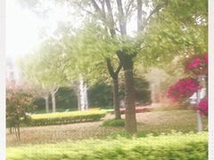 -上海长江软件园