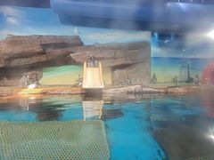 -海合安武汉极地海洋公园