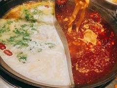 -朱光玉火锅馆(正弘城店)