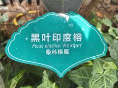 -济南植物园