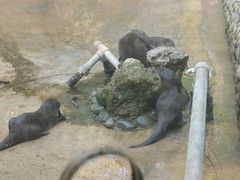 -昆明动物园
