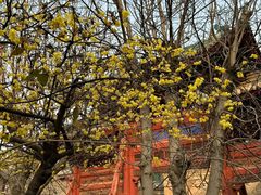 -西安化觉巷清真大寺