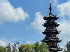 -龙华素斋(龙华路店)