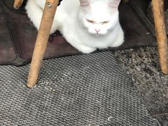 -嵊州特色小吃(萧山街店)