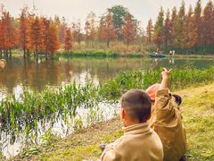 -白鹭湾湿地公园