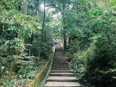 -缙云山景区