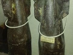 android_upload_pic-隋唐大运河文化博物馆