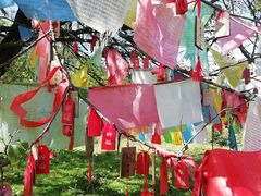 -硗碛藏寨·神木垒景区