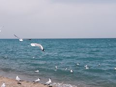 -青海湖二郎剑景区
