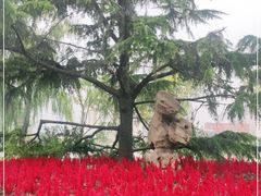-迎泽公园