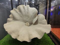 -游龙石文化科普馆
