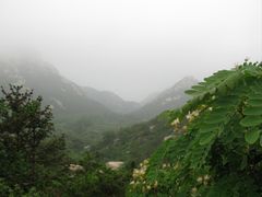 -青岛崂山太清宫
