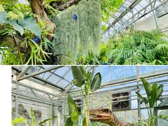 -国家植物园南园
