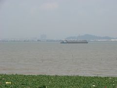 茫茫若现-海鸥岛