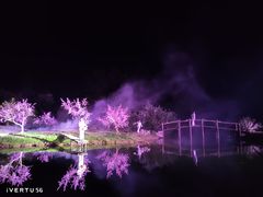 -常德桃花源景区