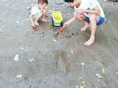 -宝安西湾红树林湿地公园