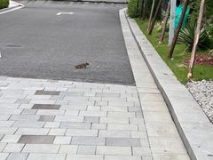 -中国湿地博物馆