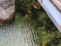 -九龙池景区