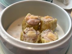 瑶柱烧麦皇-粤界(望京金辉店)