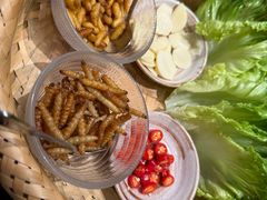 -滇野云南野生菌餐厅(陕西南路店)