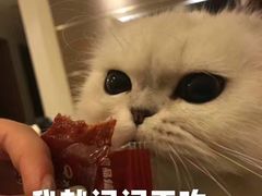 -大渝火锅(苏州西城永捷店)