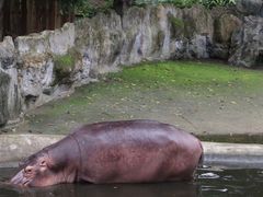 -清迈夜间动物园