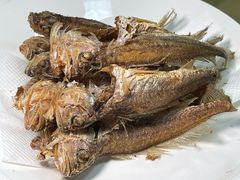 -沪依小酒馆心意菜