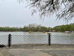 -廊坊市自然公园