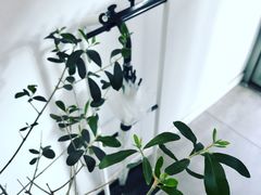 大堂-Onirii Coffee(长乐路店)