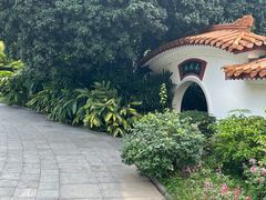 -深圳仙湖植物园