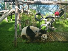 -鄂尔多斯野生动物园