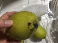 -盒马鲜生(莱蒙都会店)