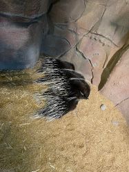 -酷嗒动物文化乐园(cutezoo西溪乐天城店)