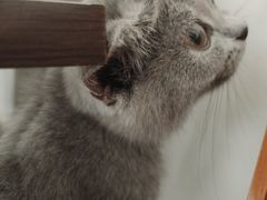 -宠颐生汉谟拉比宠物医院