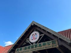 -上海海湾国家森林公园