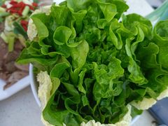 -墨脱石锅椰子鸡•香草鸭•东山羊(大东海店)