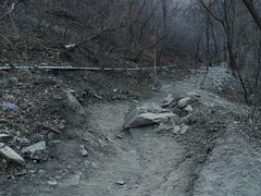 -北京西山国家森林公园