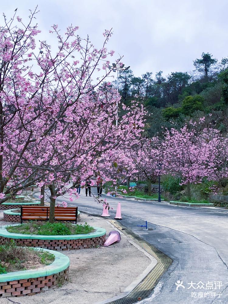 花都芙蓉度假区门票图片