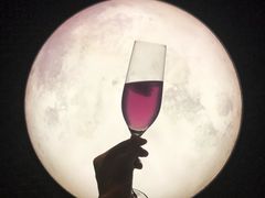 -STARRY CAFE & LOUNGE BAR(高新店)
