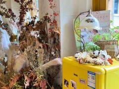 -知物癖(牛王庙店)