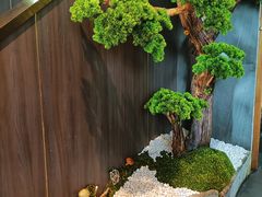 -野菌皇海景野生菌火锅(滨海大道店)