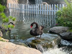 -罗红摄影艺术馆