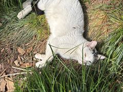 -外婆家(古墩印象城店)